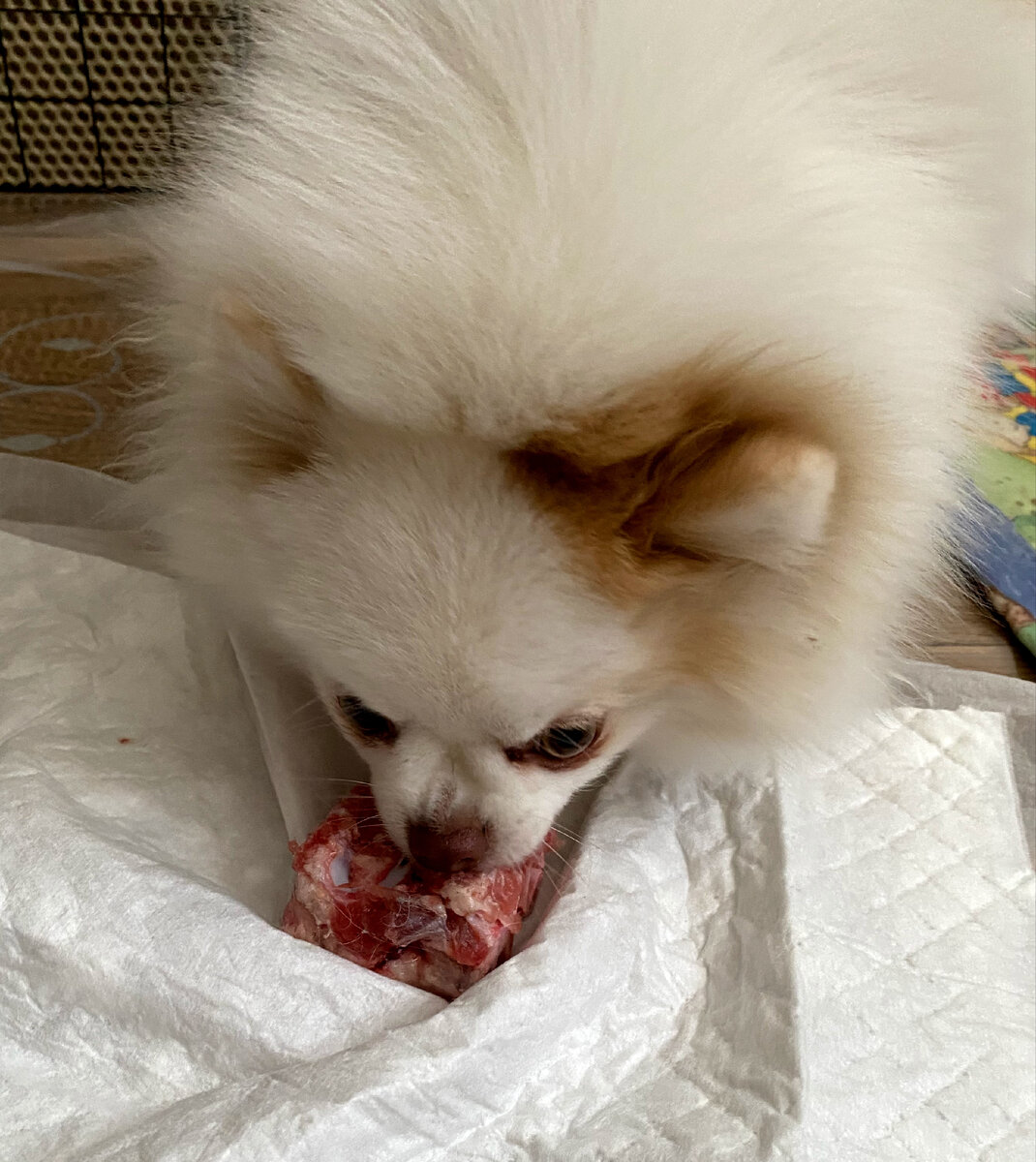 Только попробуйте отобрать мой завтрак