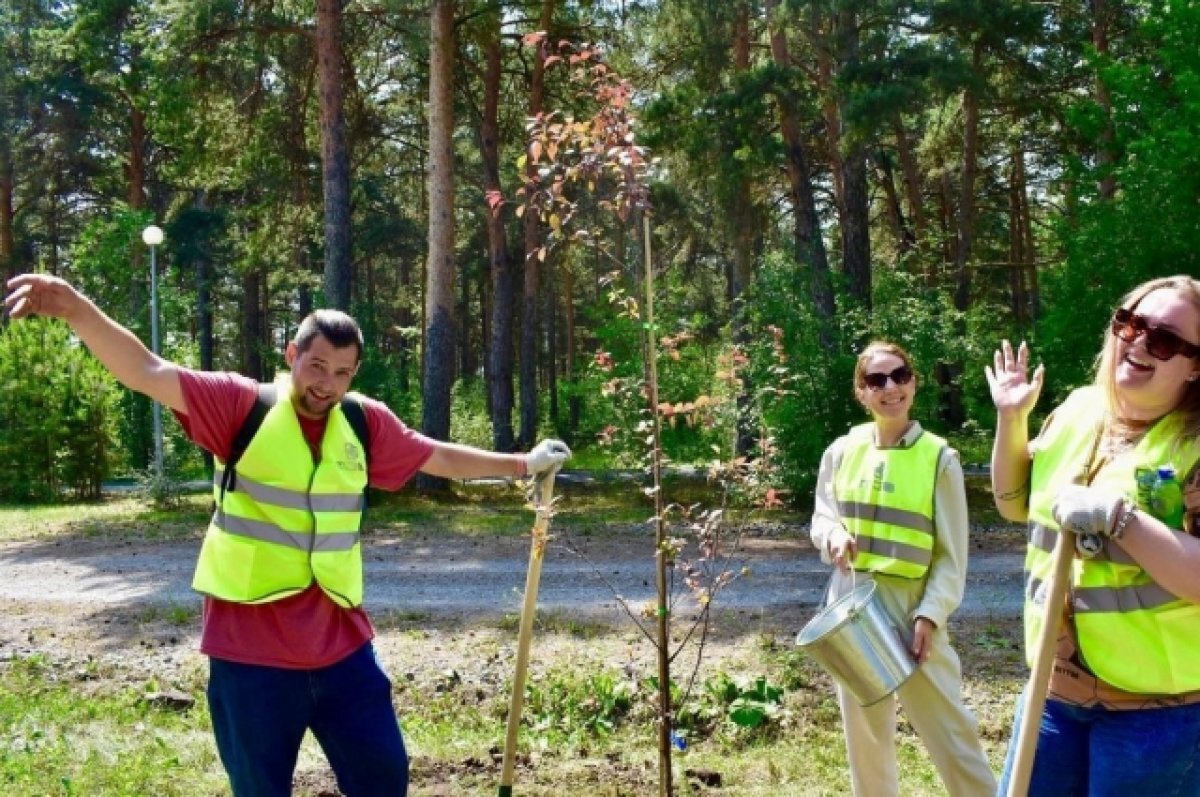    В Гилевской роще в Тюмени высадили яблони и липы