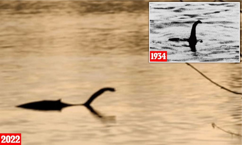 Источник: http://saipanvegas.com/original-loch-ness-monster-photo-k.html