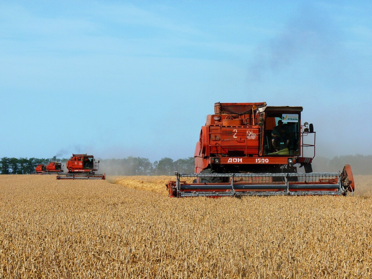 Июль – середина лета. Это самый жаркий месяц года. Именно на этот период приходится жатва - пора уборки озимой пшеницы.