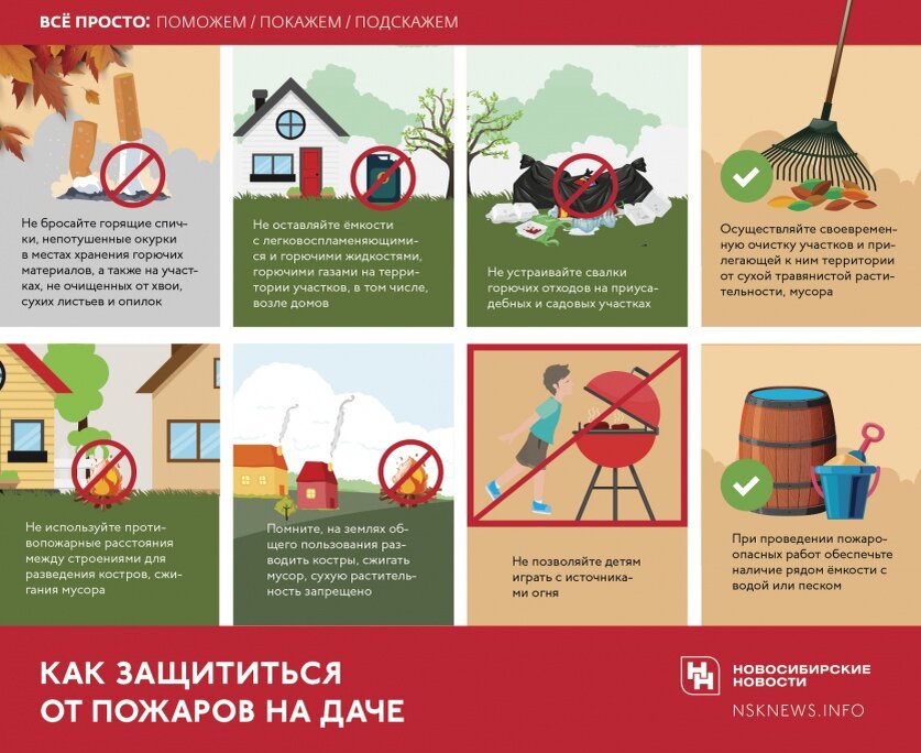 Инфографика: nsknews.info