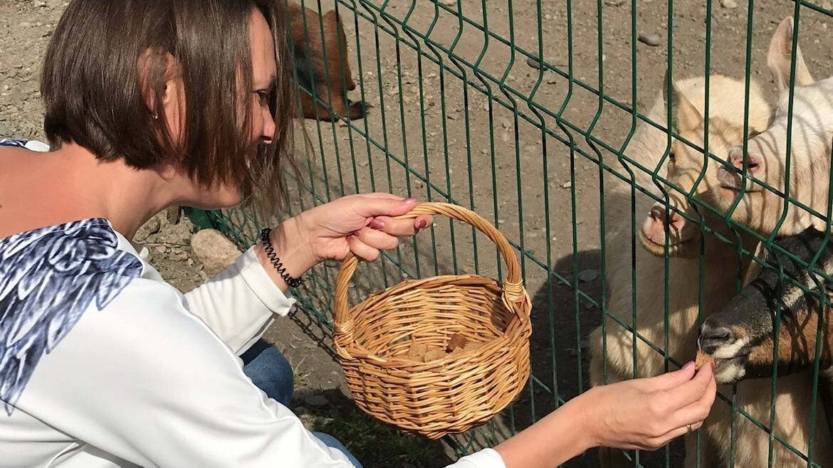 В Усадьбе Три А