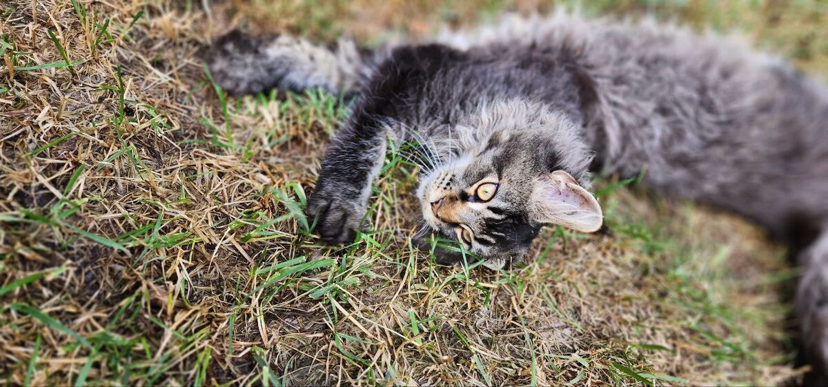 Фото из личного архива.