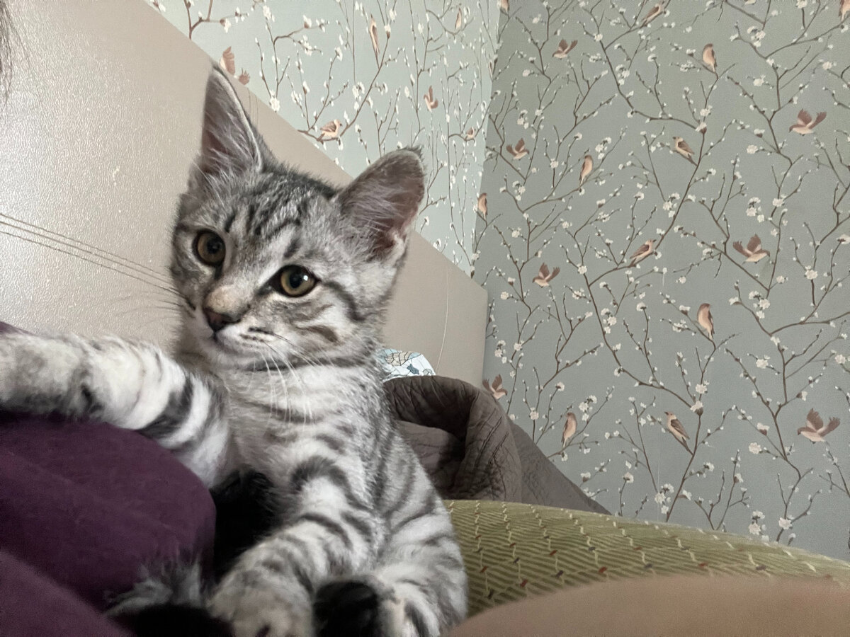 Это что, про меня рассказывают?