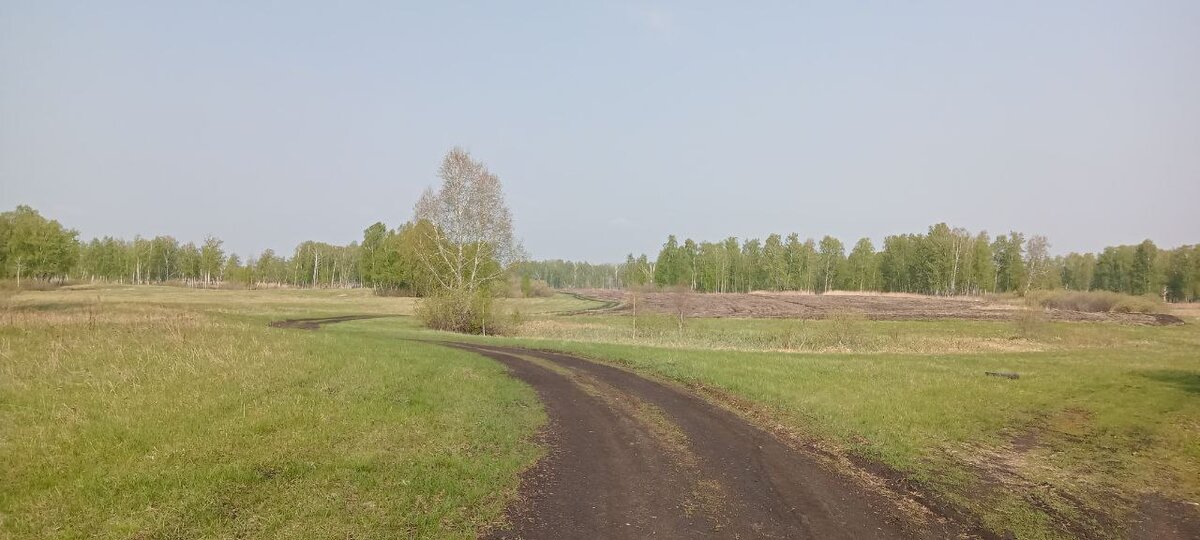 Ну как тут не бегать