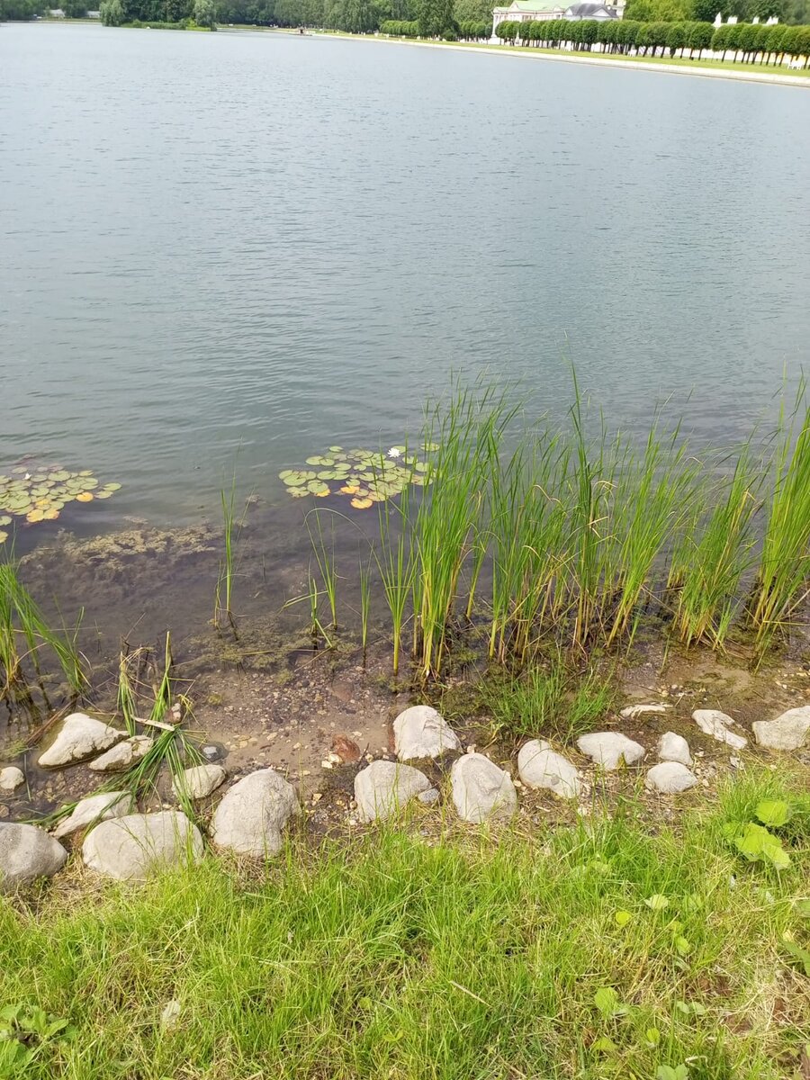 Фото. Дворцово-парковый ансамбль «Кусково».