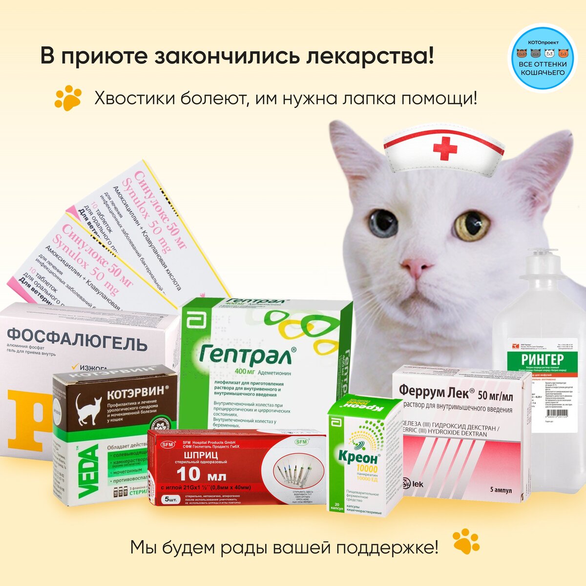 © ВСЕ ОТТЕНКИ КОШАЧЬЕГО 