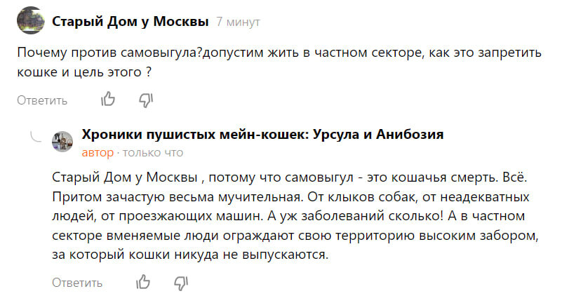 Тот самый комментарий и краткий ответ на него. А ниже длинный.