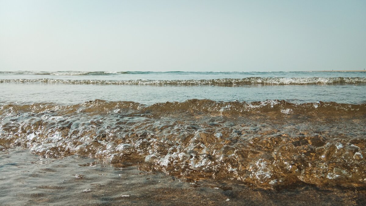     Рост солености воды в Азовском море может привести к появлению там новых видов паразитов, рассказал зоолог Сергей Дудкин.