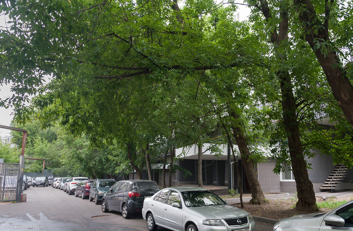 Славянский бульвар, дом 1. 5 июля 2023 года. Фото автора