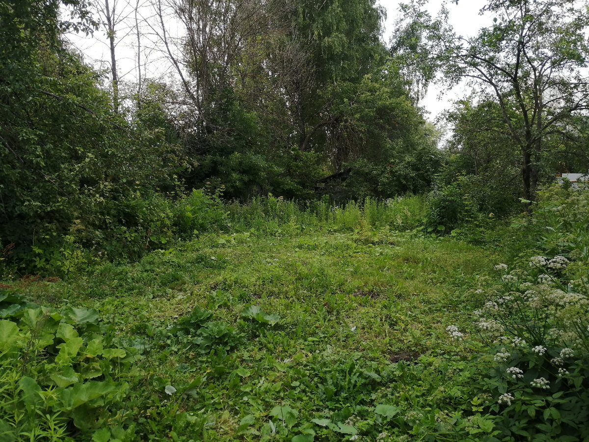 На этом кусочке и выгуливали ту соседскую собачку. 