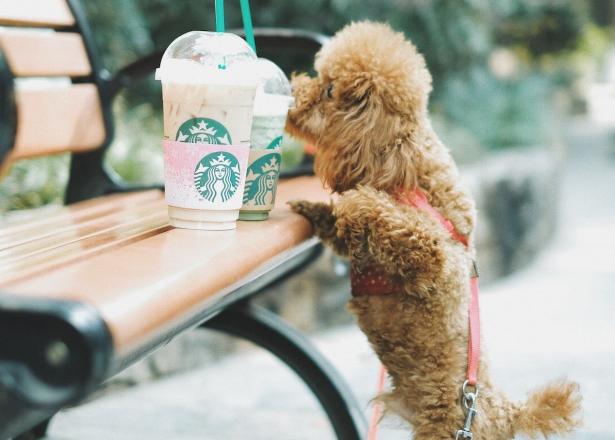 Из ресурсов интернета