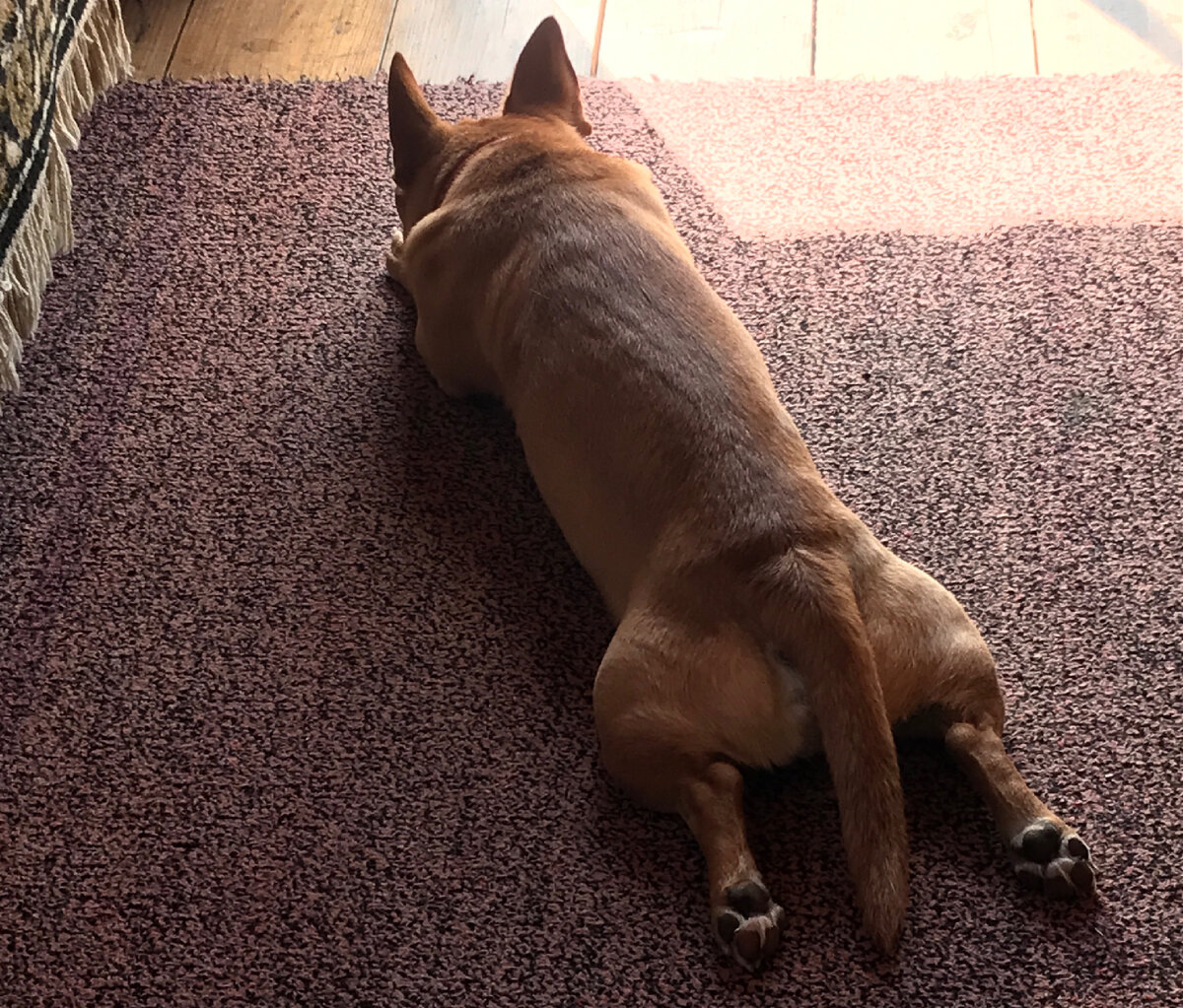 В саду, жарко мальчишке