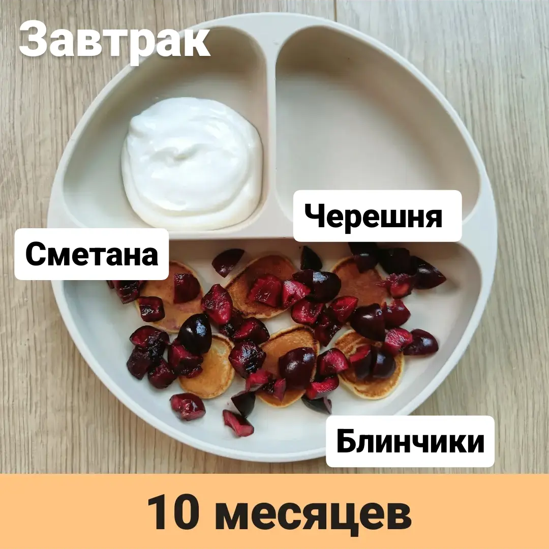 Пример тарелки в 10 месяцев