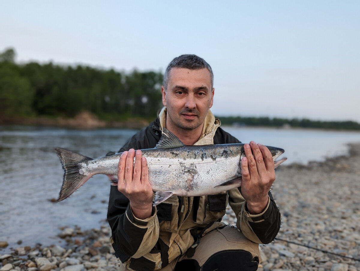 Не только горбуша попадалась. Что это за рыба?