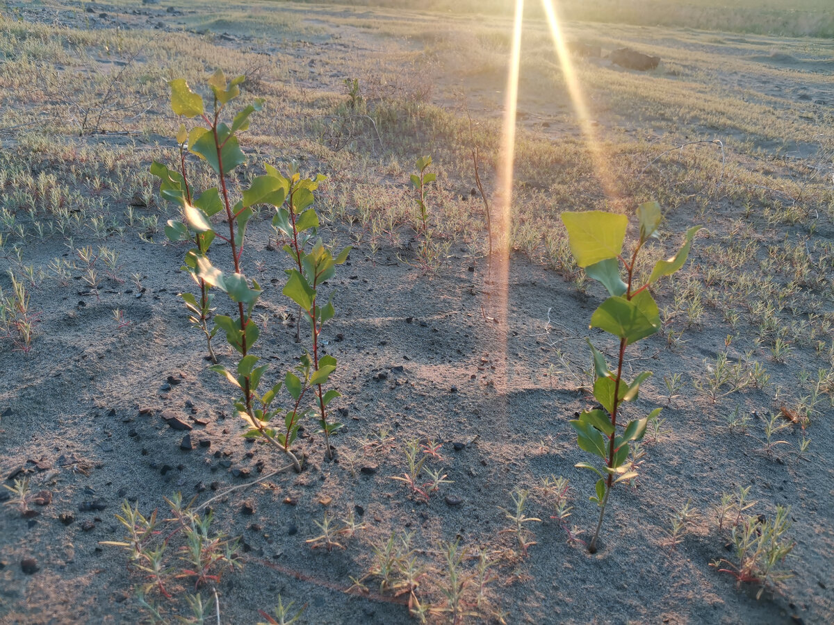 Фото автора канала 