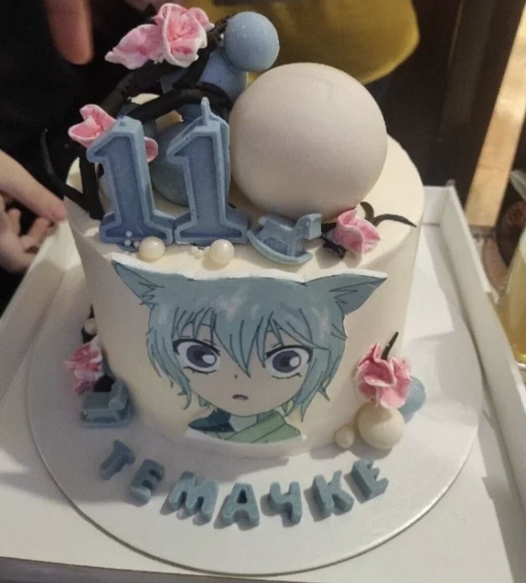 Фото из открытых источников интернета 