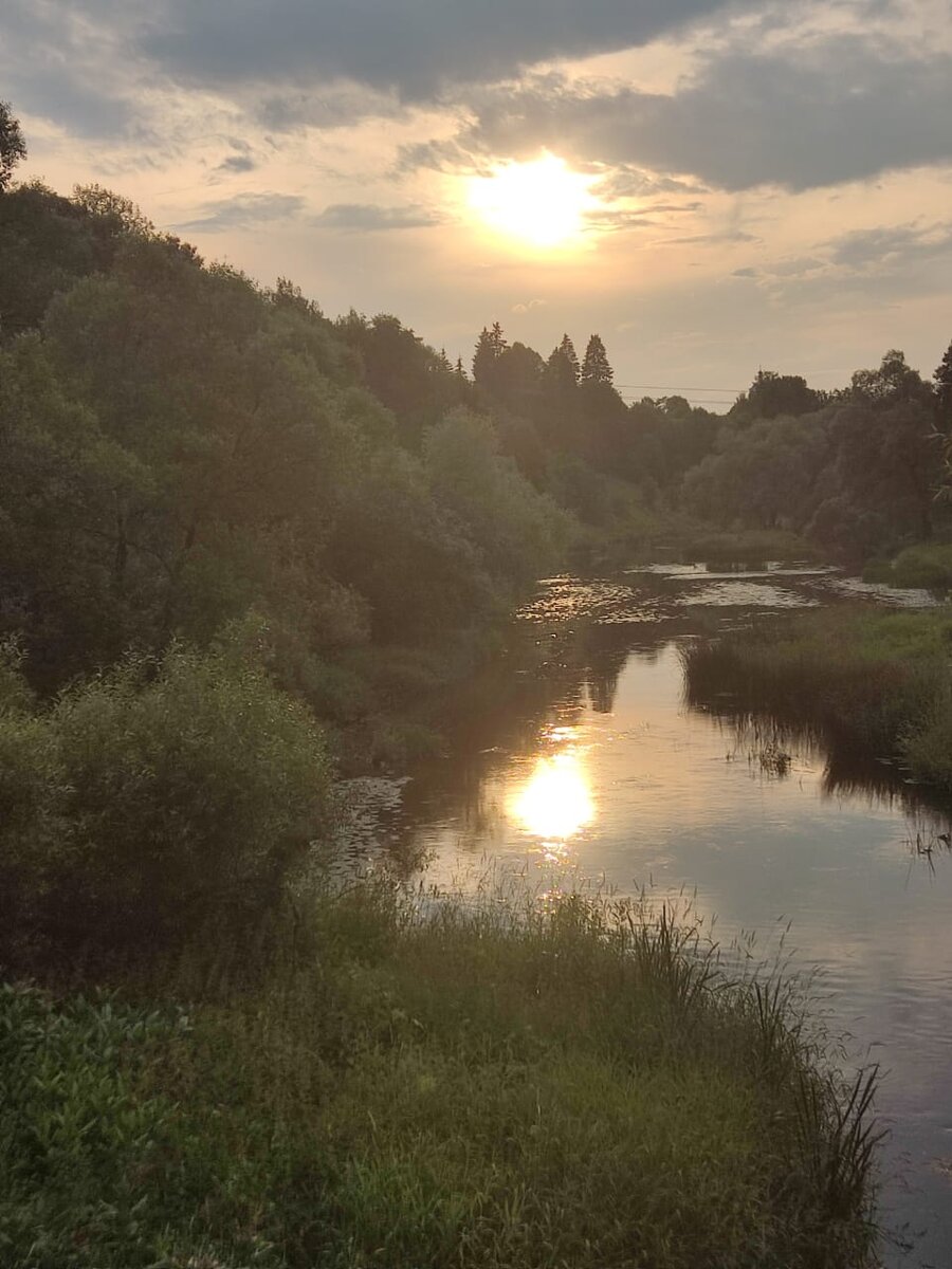 Наши дачные места 