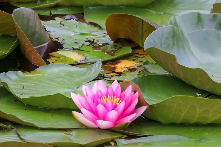  Фото: Мобильный репортер / АГН Москва