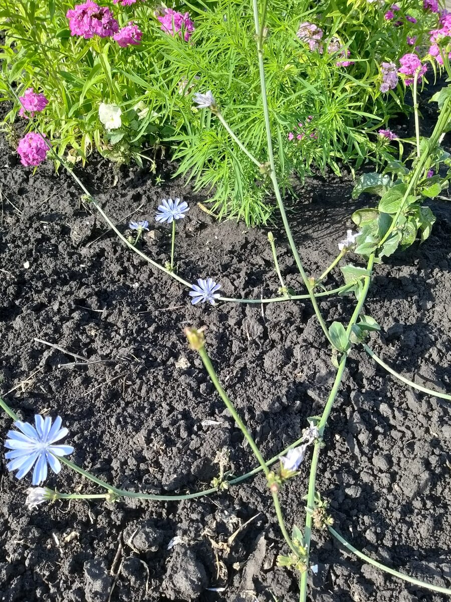 Мог бы и стоять, но без опоры сам не справляется. 