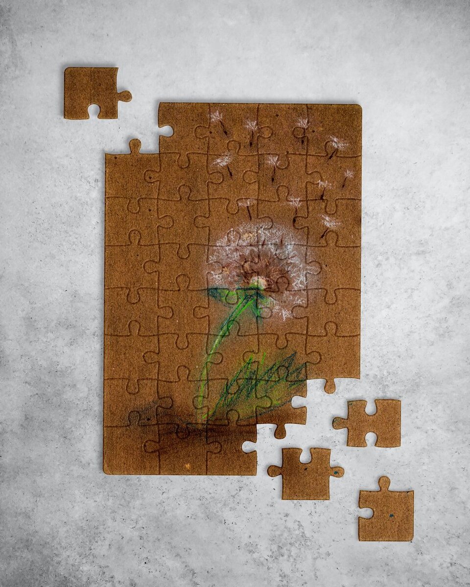 Дизайн -Миша, рисунок- Маша, герой рассказа -Тиша