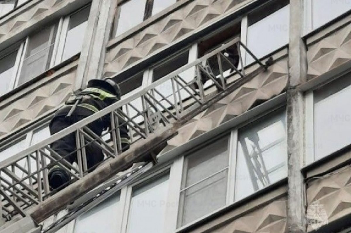    В Твери пожарные сняли застрявшего на балконе седьмого этажа кота