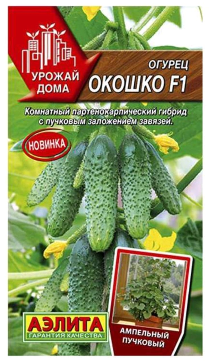 Личное фото автора