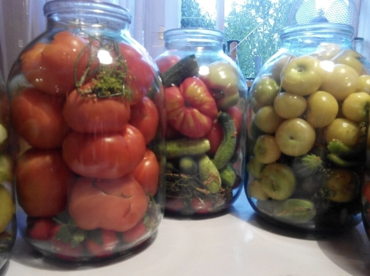 Фото автора. Итоги летнего труда.