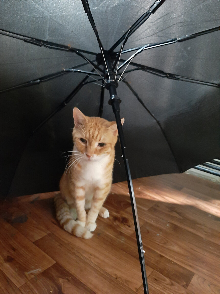 Прощай и прости...