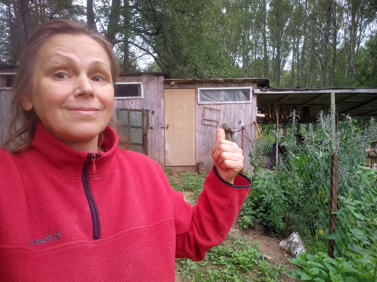 вот эту сарайку надо починить...