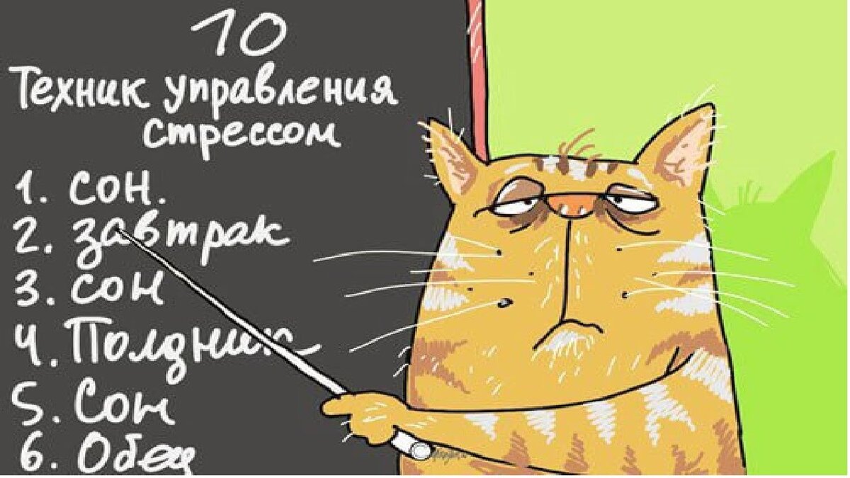 Недельное расписание Пикабу