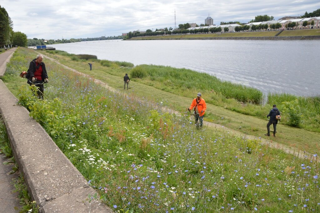 В Твери косари избавились от зарослей травы на площади 82 тысячи кв. метров