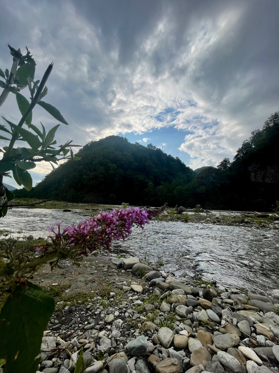 Солохаул, Сочи