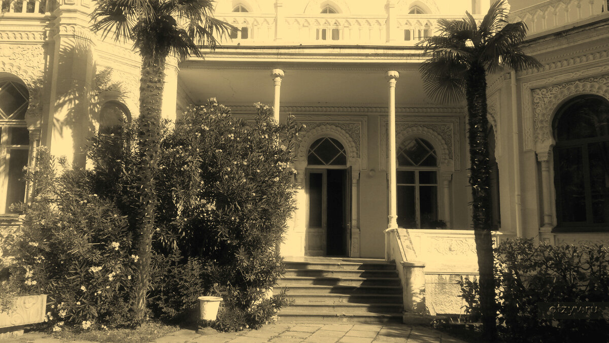 Фото из интернета.