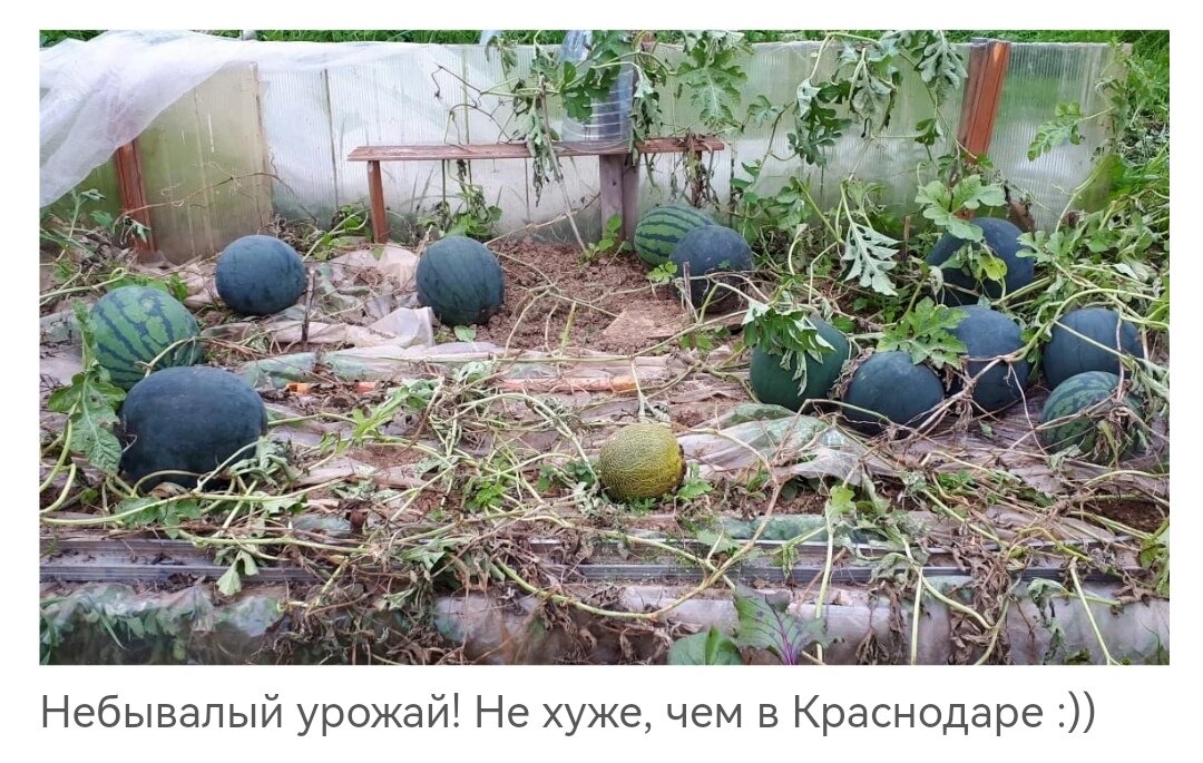 Фото из статьи от 19 сентября 2021 года