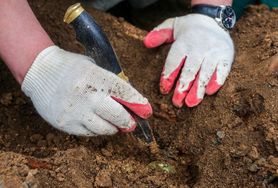    © Дмитрий Рогулин/ТАСС