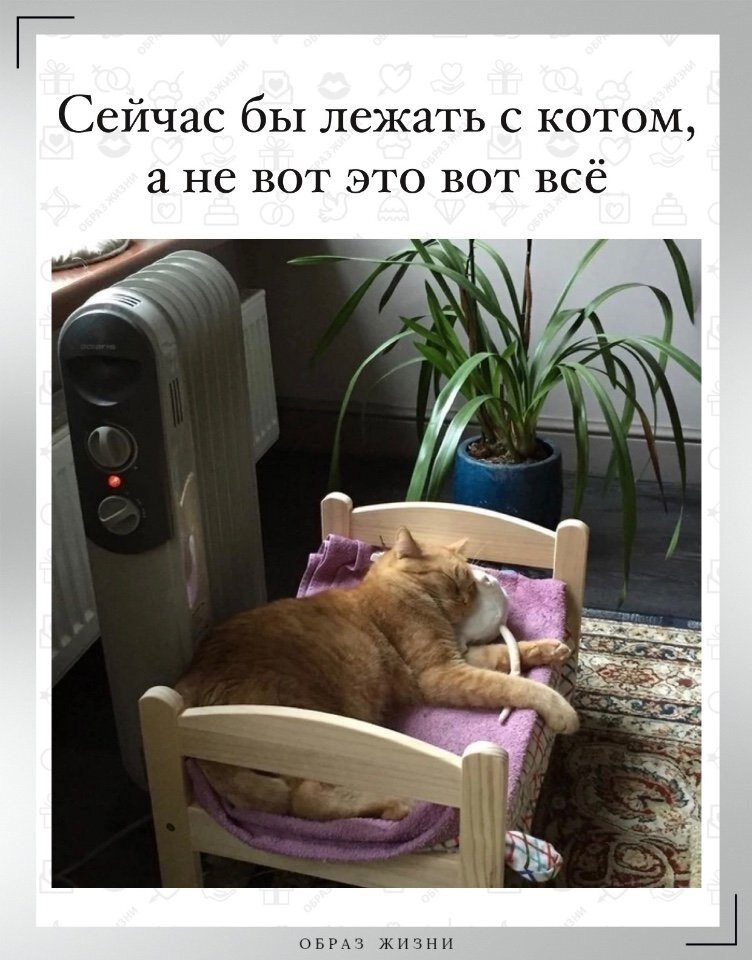 источник Яндекс-картинки