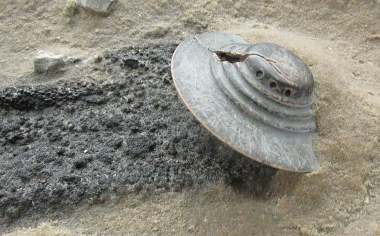 Фото Яндекс картинки