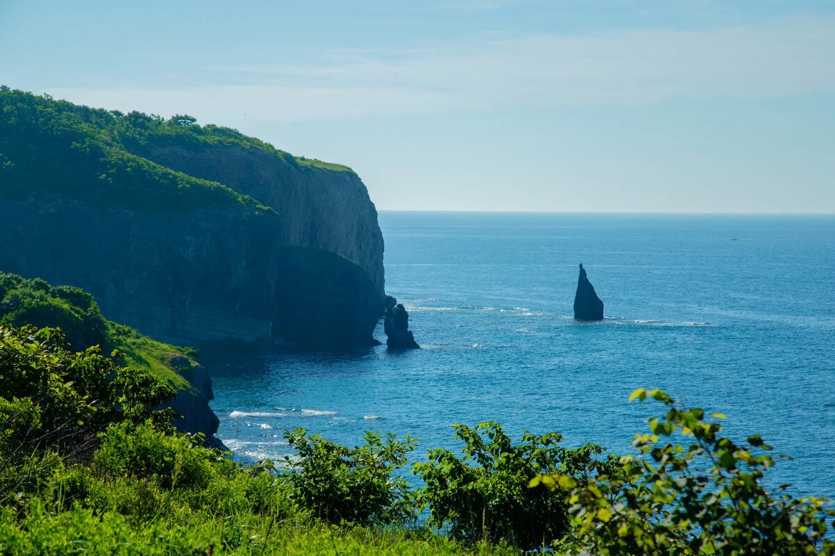 Движение приморье. Движение приморье. Движение приморье. Движение приморье. Движение приморье.