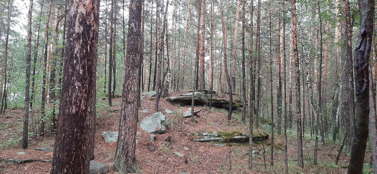 Вид с нашей веранды.