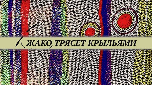 Попугай жако трясёт крыльями. Что это значит? Частые ошибки в организации клетки попугая.