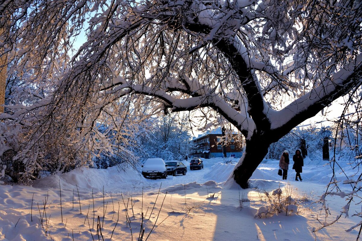 Улица Гагарина. Февраль. Фото В.Гребнева