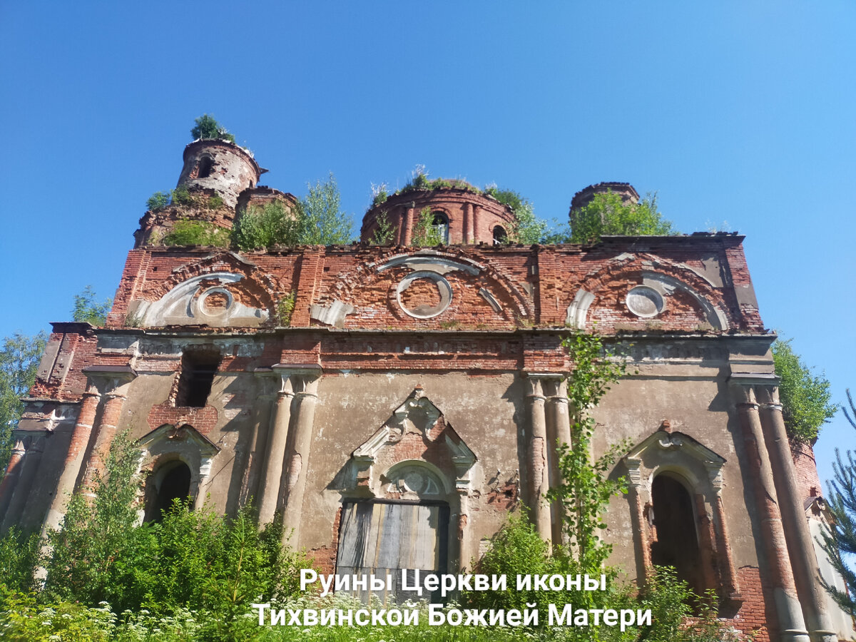 Фото автора.