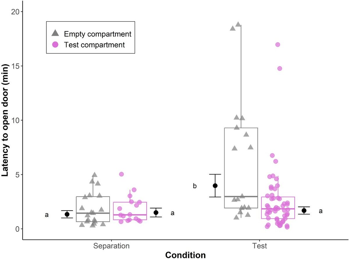   Liza Moscovice et al. / bioRxiv, 2023