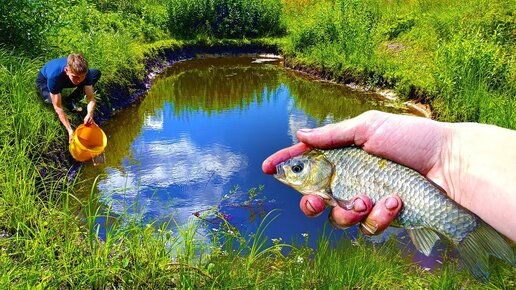 Секреты разведения рыб в искусственных водоемах