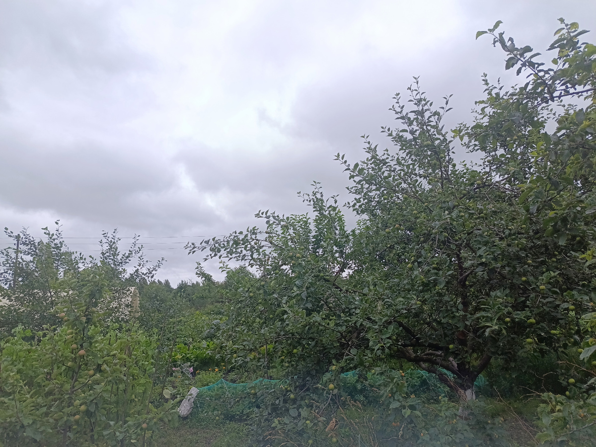 Такое лето(