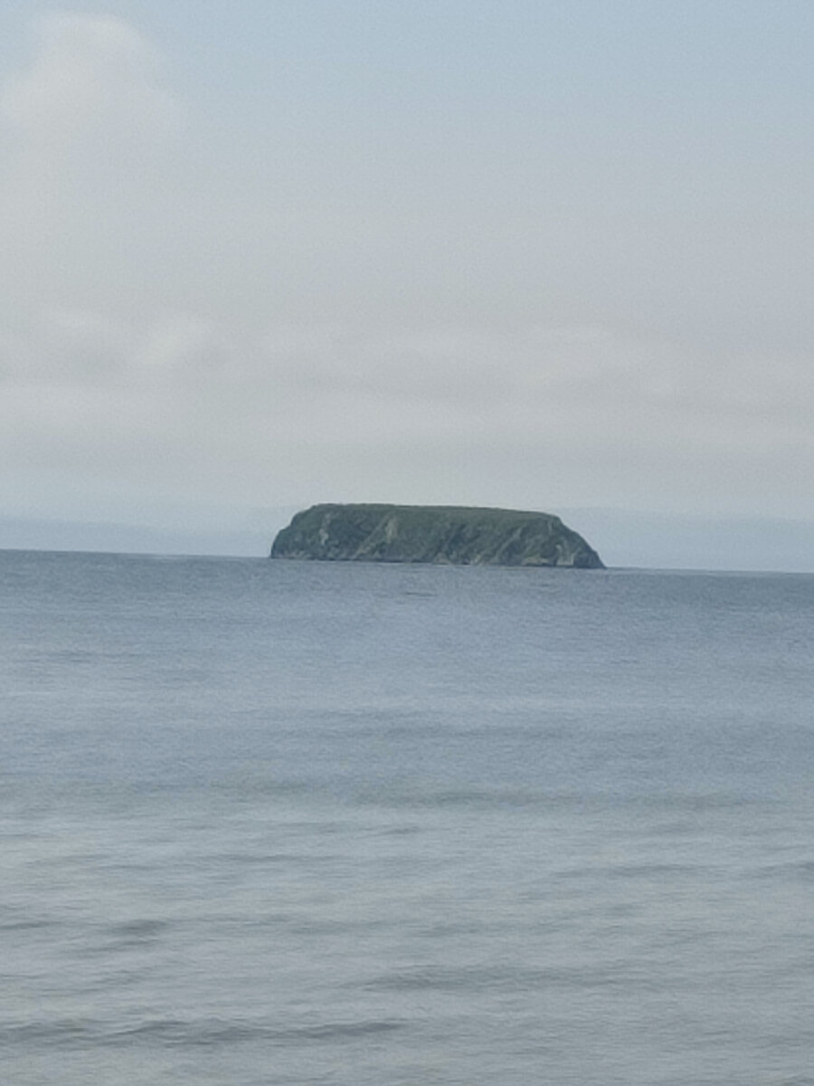 Коврижка, остров Скрепцова. Фото автора.