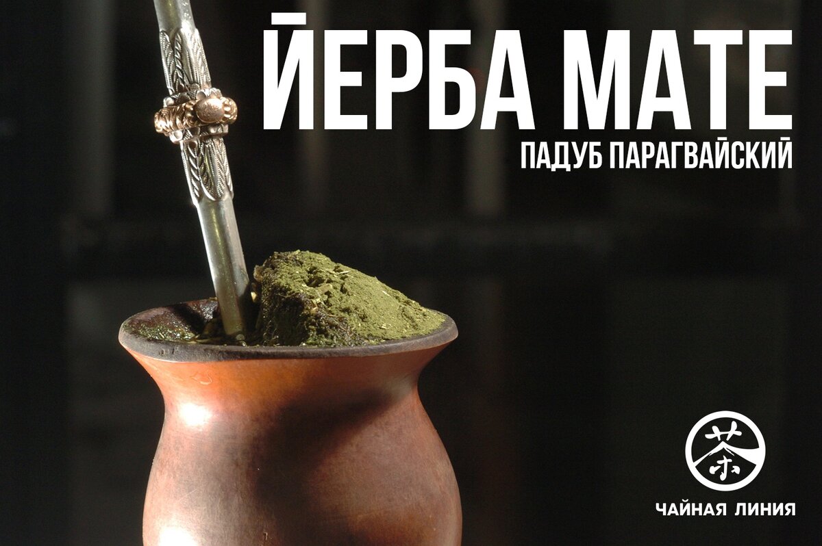 "Чай" мате (Йерба мате). | Чайная Линия - магазин китайского чая и ...