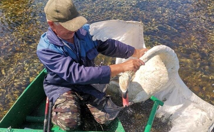    Фото Валентины Ткачевой
