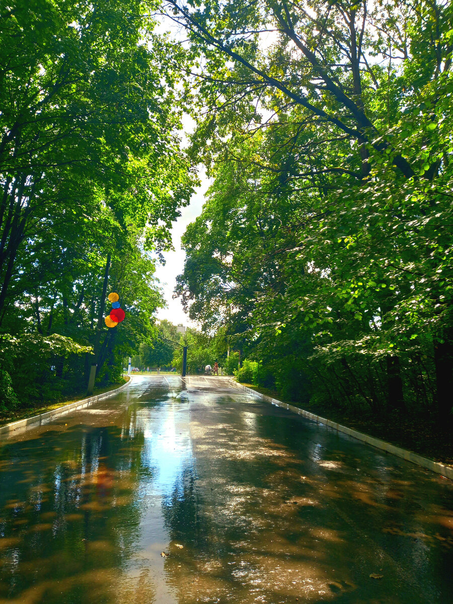 После дождя щедрого и звонкого.